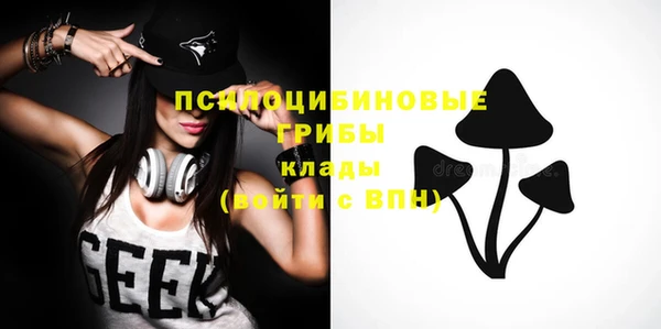 тгк Осинники