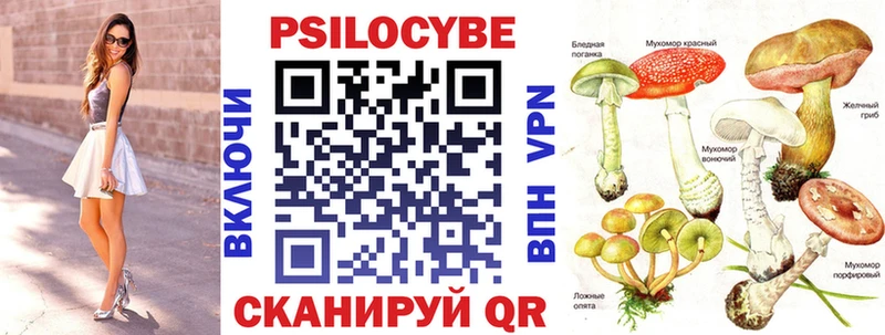 Галлюциногенные грибы Psilocybine cubensis  Алзамай 